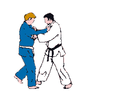 ippon-seoi-nage